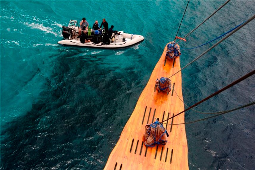 Tiger Blue, Indonesia - LiveAboard.com